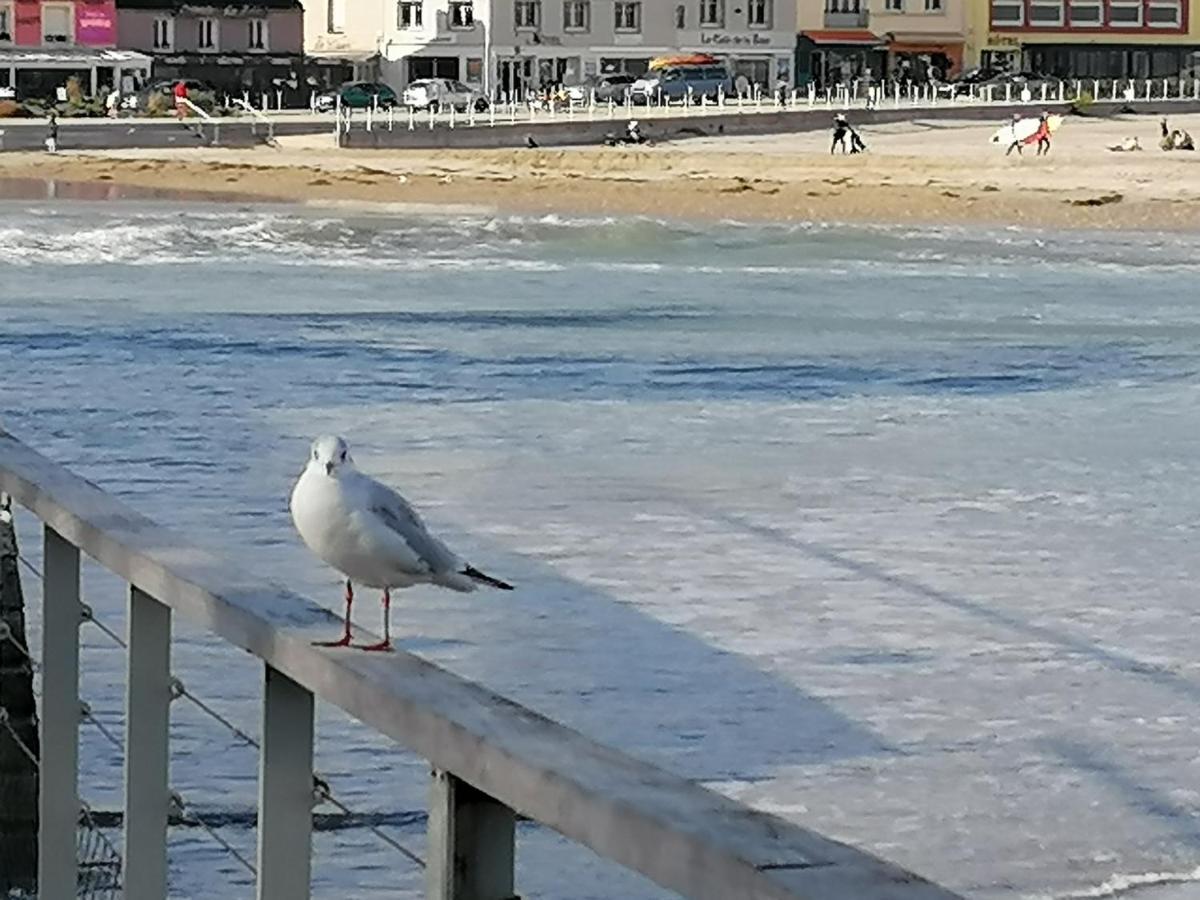 T1Bis, 100M De La Belle Plage De Morgat Crozon Bagian luar foto